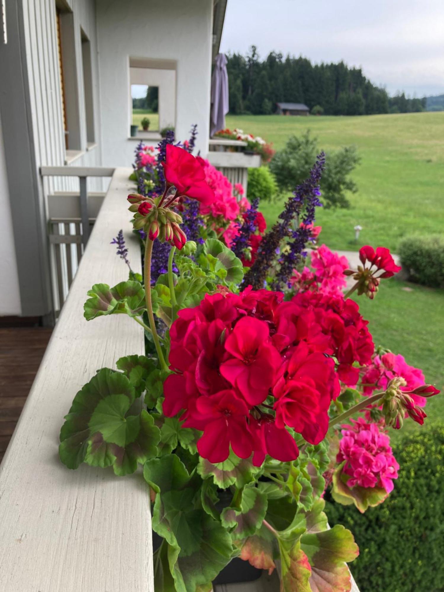 Ferienwohnungen Allgaeu-Bodensee Sigmarszell Bagian luar foto